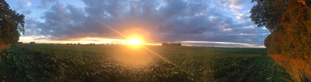 konferens skåne