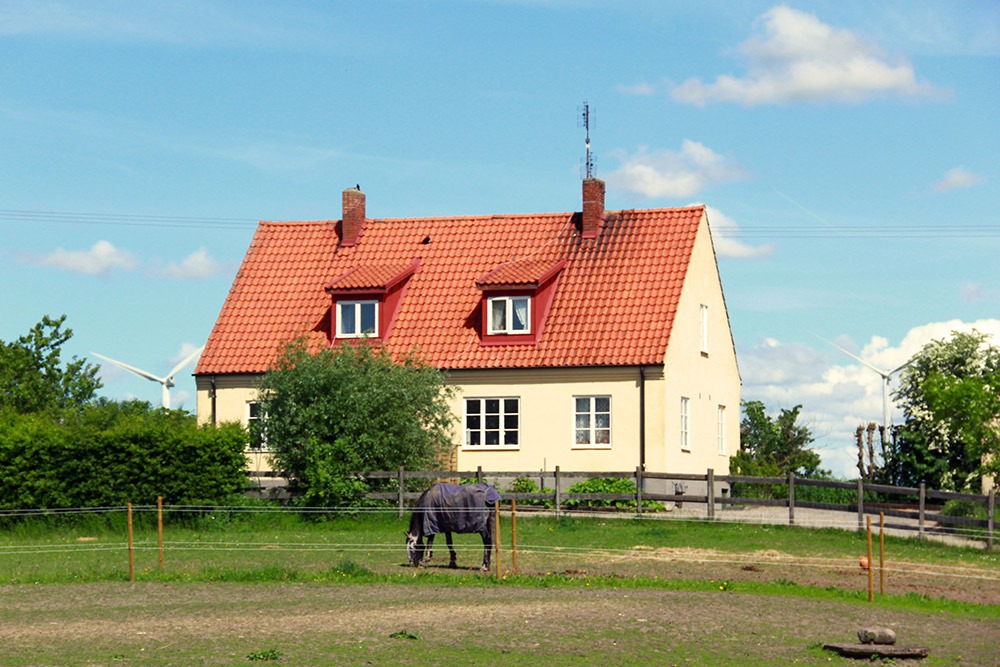 Bild på gult hus med häst i förgrunden